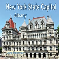 New York State Capitol: Albany cover