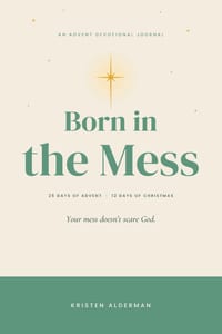 Born in the Mess cover