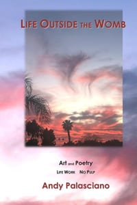 Life Outside the Womb cover