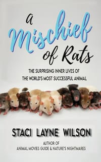 A Mischief of Rats: The Surprising Inner Lives of the World's Most Successful Animal cover