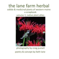 The lane farm herbal: a scrapbook: native plant allies cover