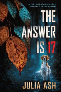 The Answer is 17 cover
