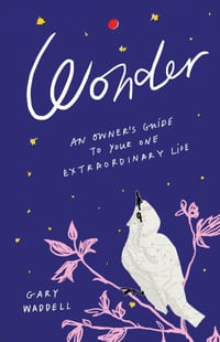 Wonder: An Owner's Guide to Your One Extraordinary Life cover
