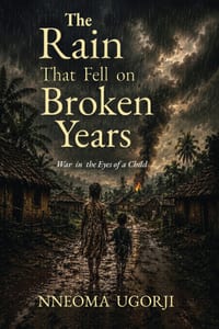 The Rain That Fell on Broken Years: War in the Eyes of a Child cover