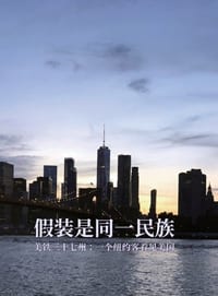 假装是同一民族 cover