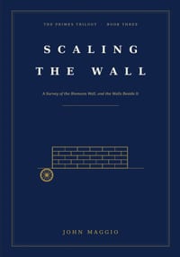 Scaling the Wall: A Survey of the Riemann Wall, and the Walls Beside It cover