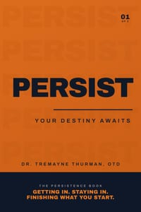 Persist: Your Destiny Awaits: The Family Guide to Life After High School, Using Personality and Emotional Intelligence to Find Your Road and Finish Wh cover