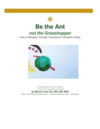 Be the Ant-not the Grasshopper: How to Navigate Through Treacherous Disasters Safely cover