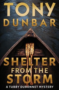 Shelter From The Storm cover