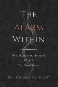 The Alarm Within: What if you're not broken. What if . . . You Make Sense cover
