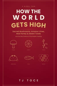 How The World Gets High: A Global Tour of Sacred Mushrooms, Amazon Vines, Mad Honey, Desert Toads and the New Science of Psychedelic Healing cover