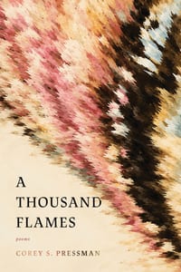A Thousand Flames cover
